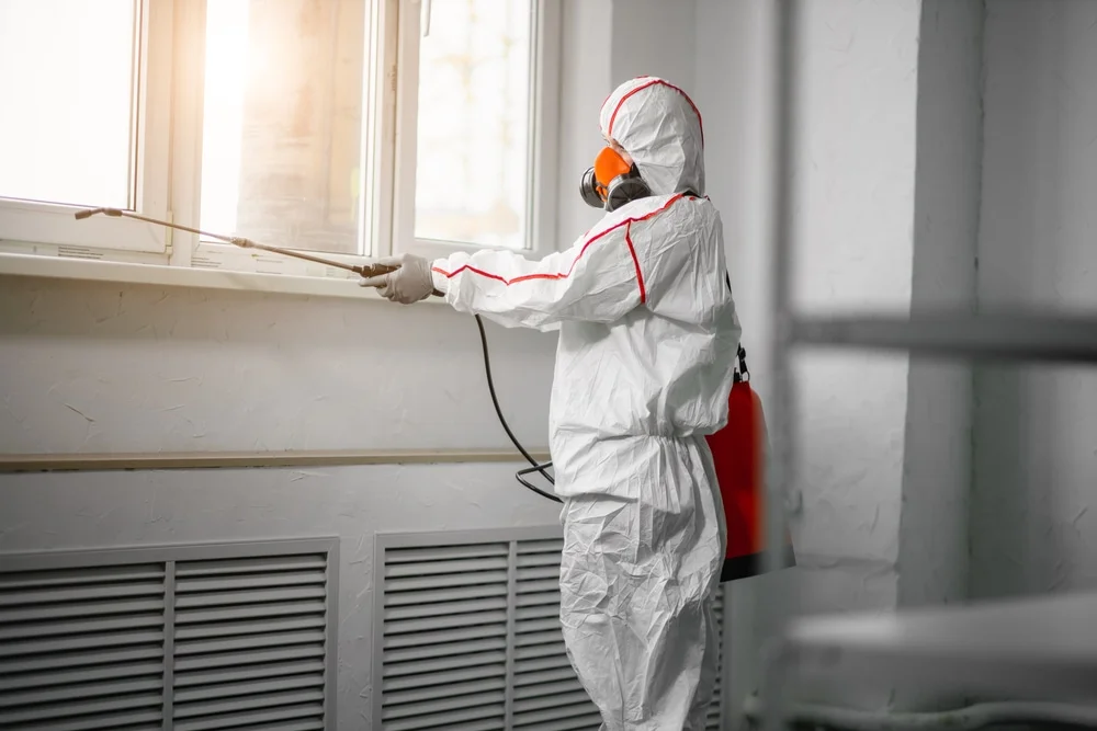 Professional mold remediation services in Penwell, TX